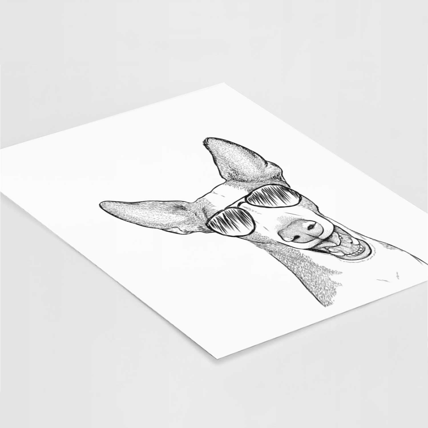 Havok the Ibizan Hound Art Print