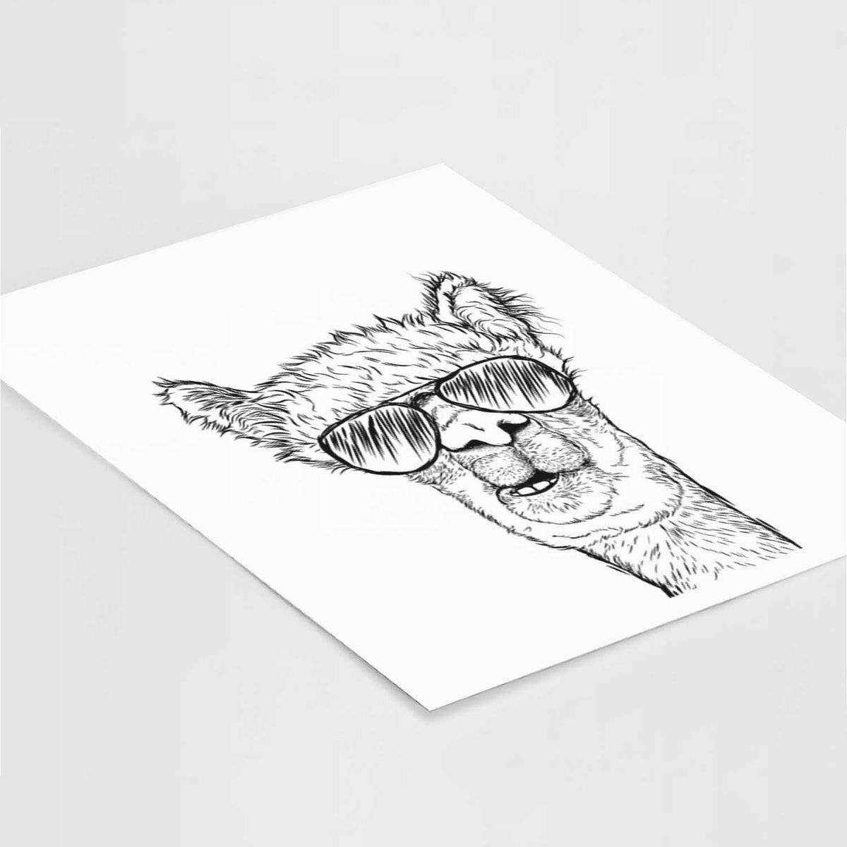 Henry the Alpaca Art Print