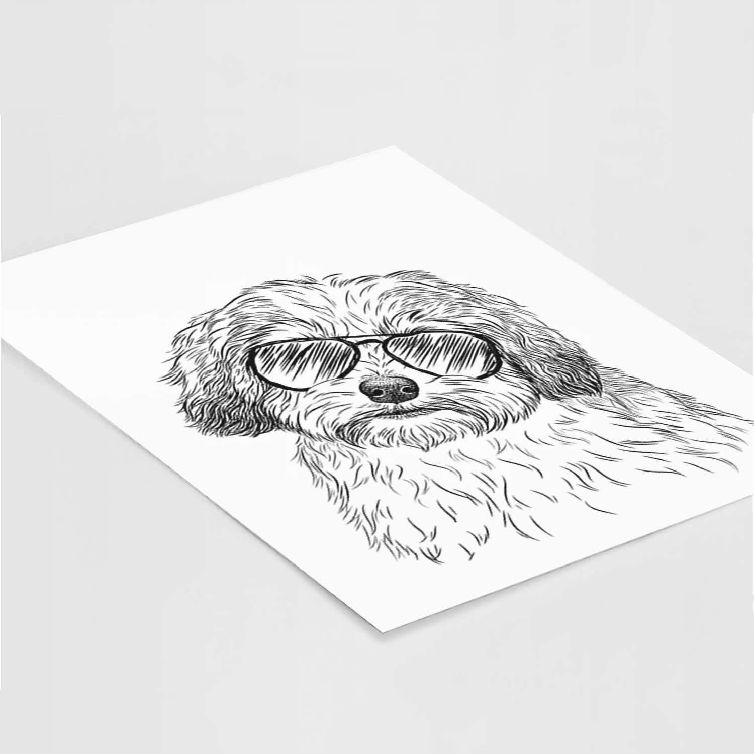 Henry the Havanese Art Print