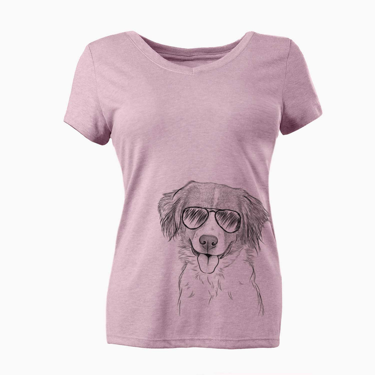 Aviator Hercules the Nederlandse Kooikerhondje - Women's V-neck Shirt