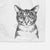 Hobbes the Tabby Cat Decorative Hand Towel