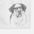 Hook the Saint Bernard Decorative Hand Towel