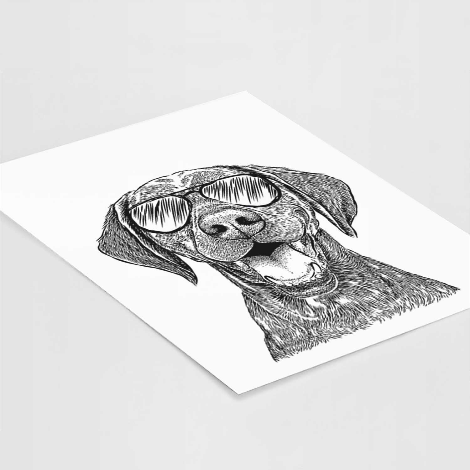 Hudson the German Shorthaired Pointer Art Print