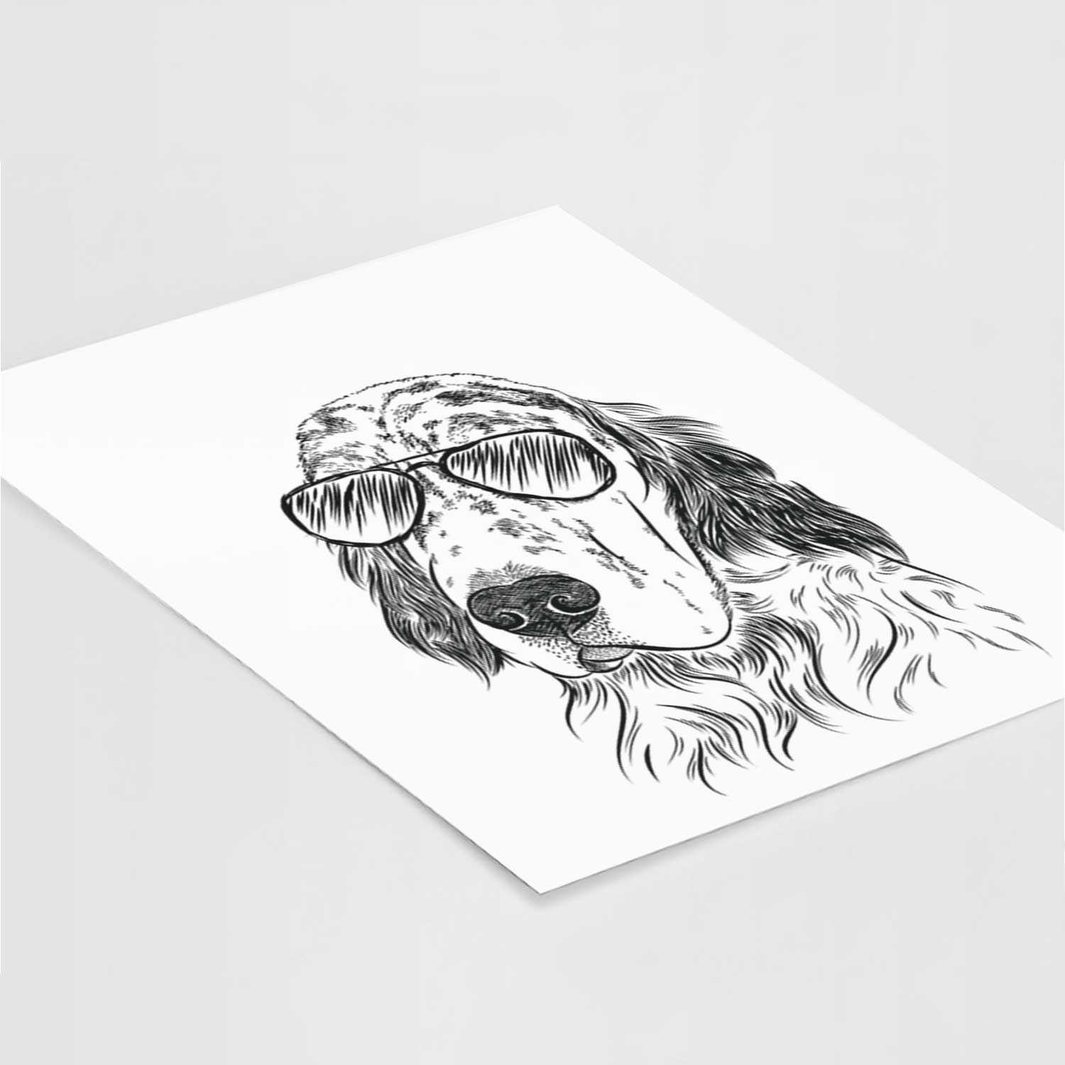 Hutch the English Setter Art Print