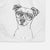 Izzy the Chiweenie Decorative Hand Towel