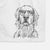 Jake aroni the Golden Retriever Decorative Hand Towel