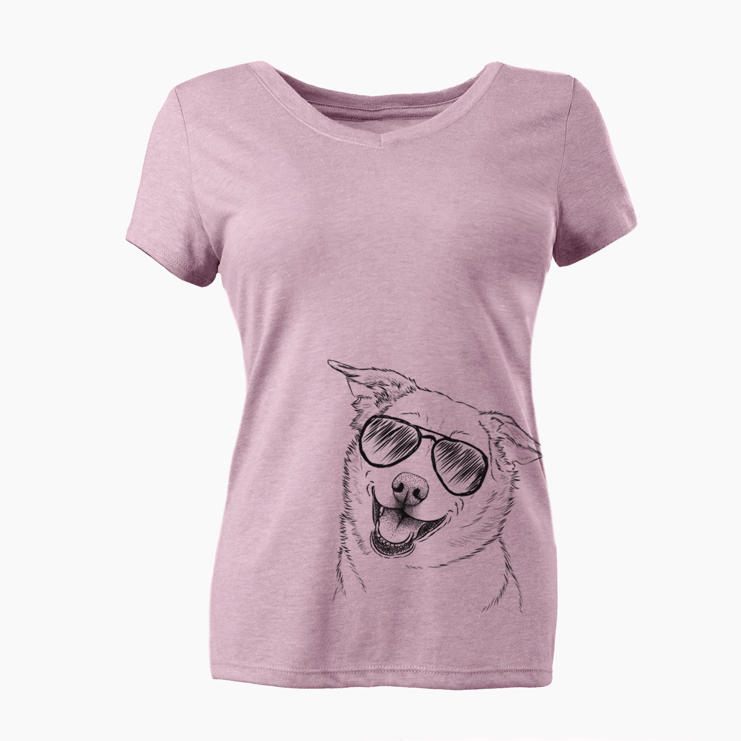 Aviator Jazz the Lab Mix - Women's V-neck Shirt