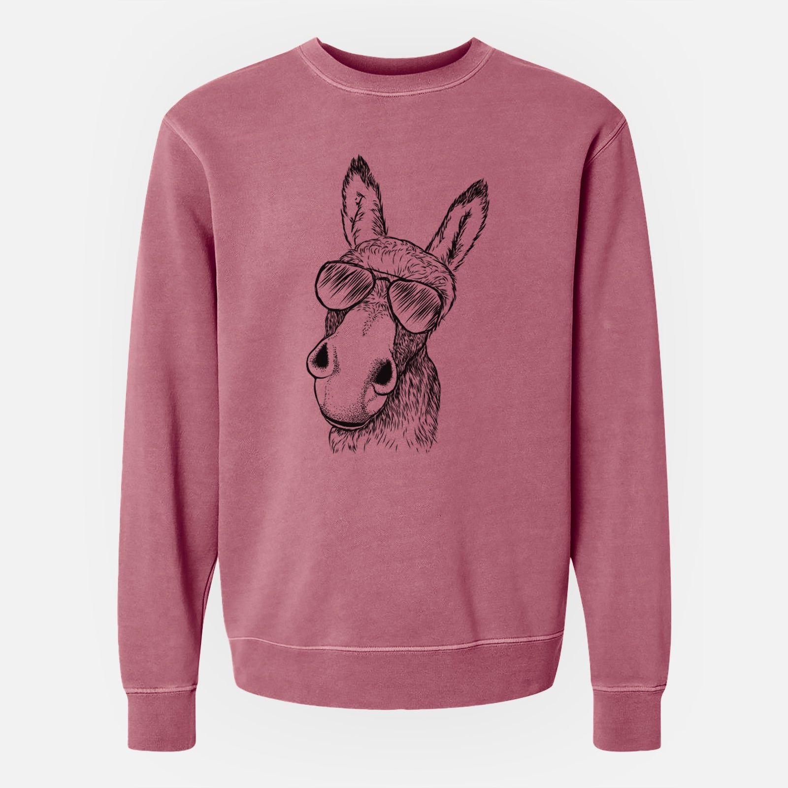 Aviator Jenny the Donkey - Unisex Pigment Dyed Crew Sweatshirt