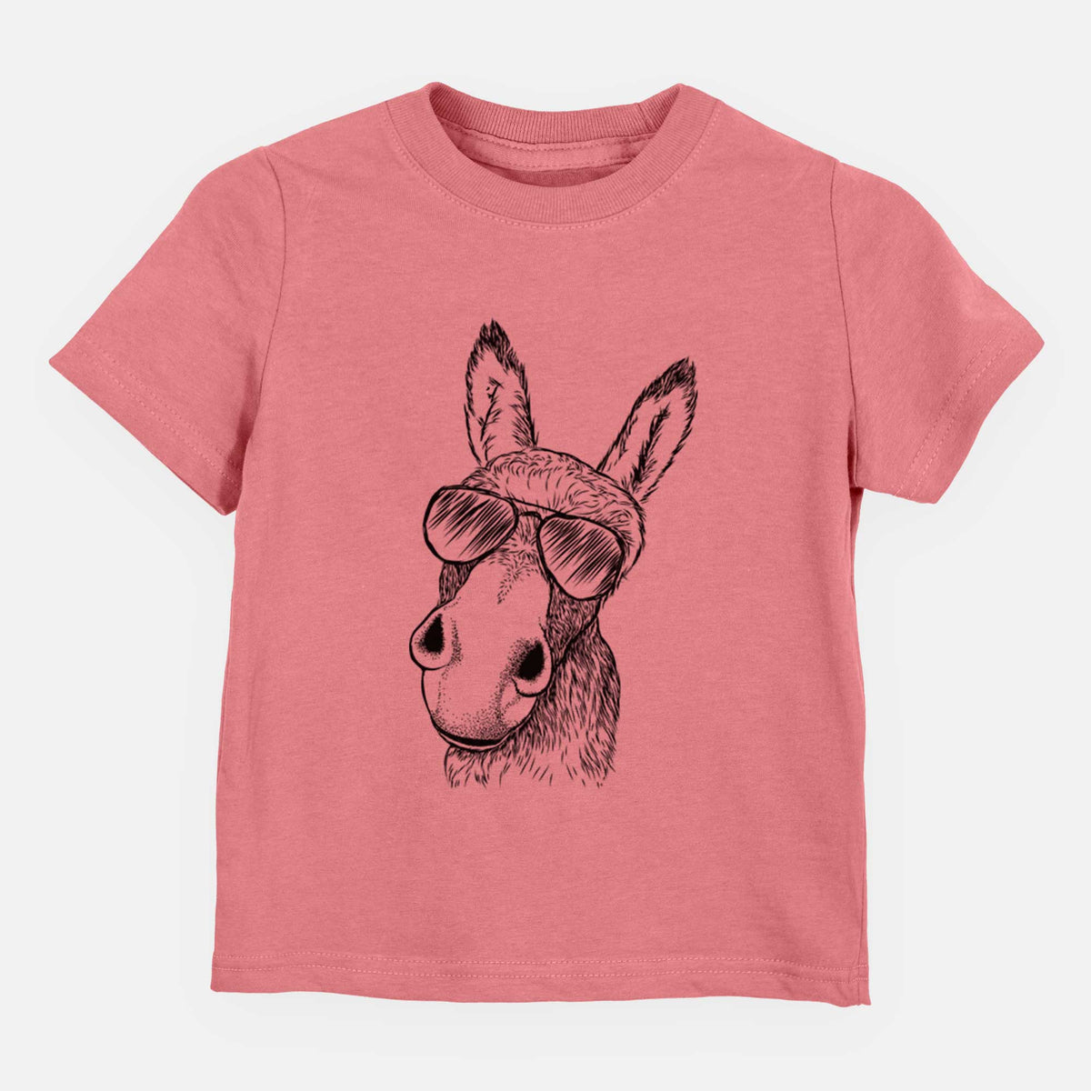 Aviator Jenny the Donkey - Kids/Youth/Toddler Shirt