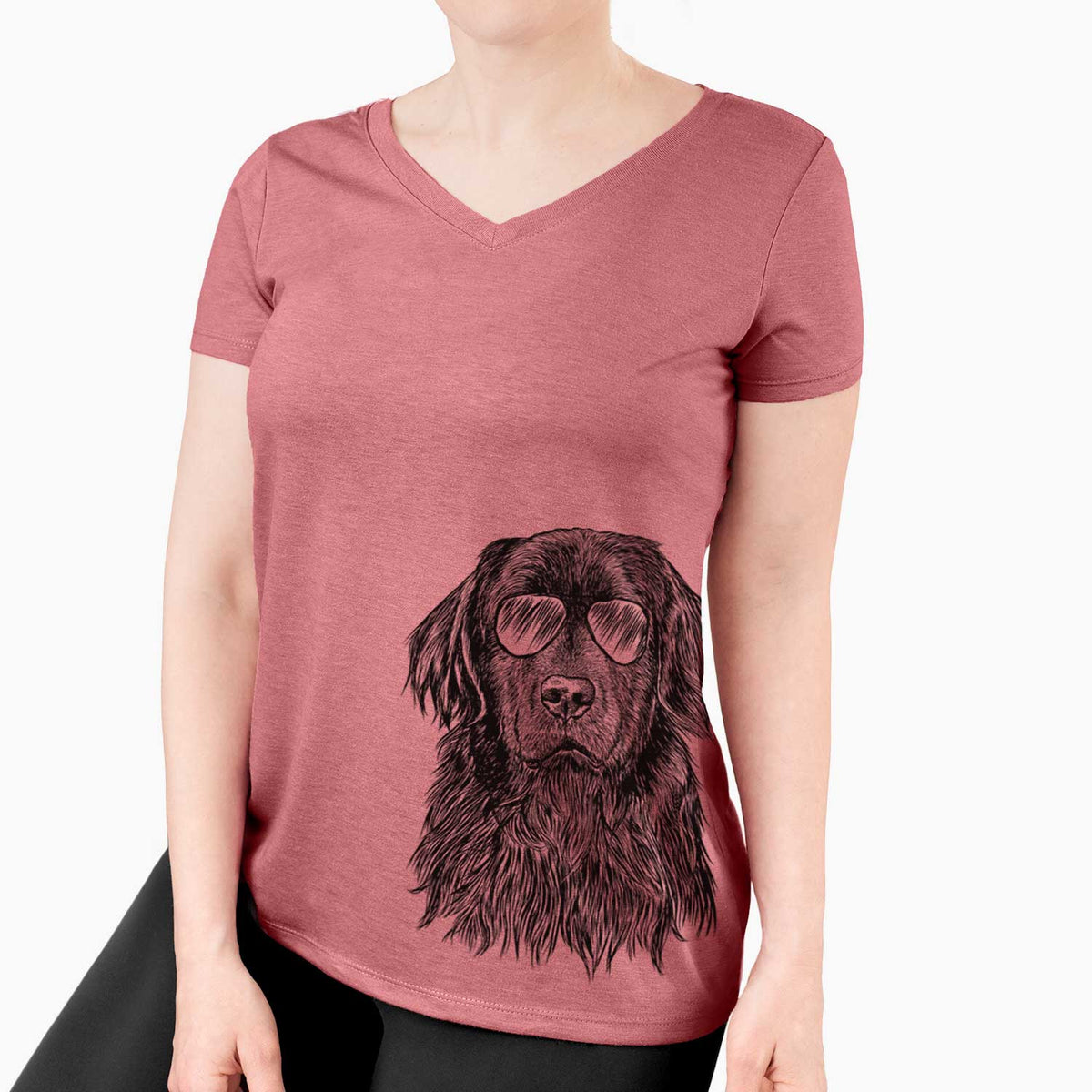Aviator Jinx the Newfoundland - Women's V-neck Shirt