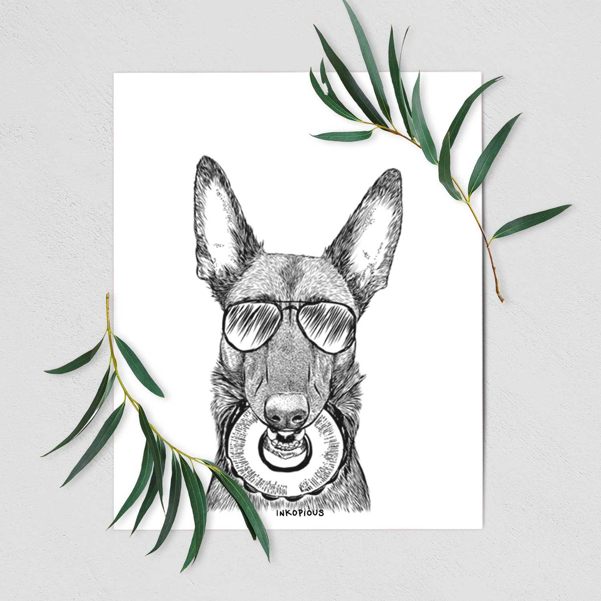 Juno the Belgian Malinois Art Print