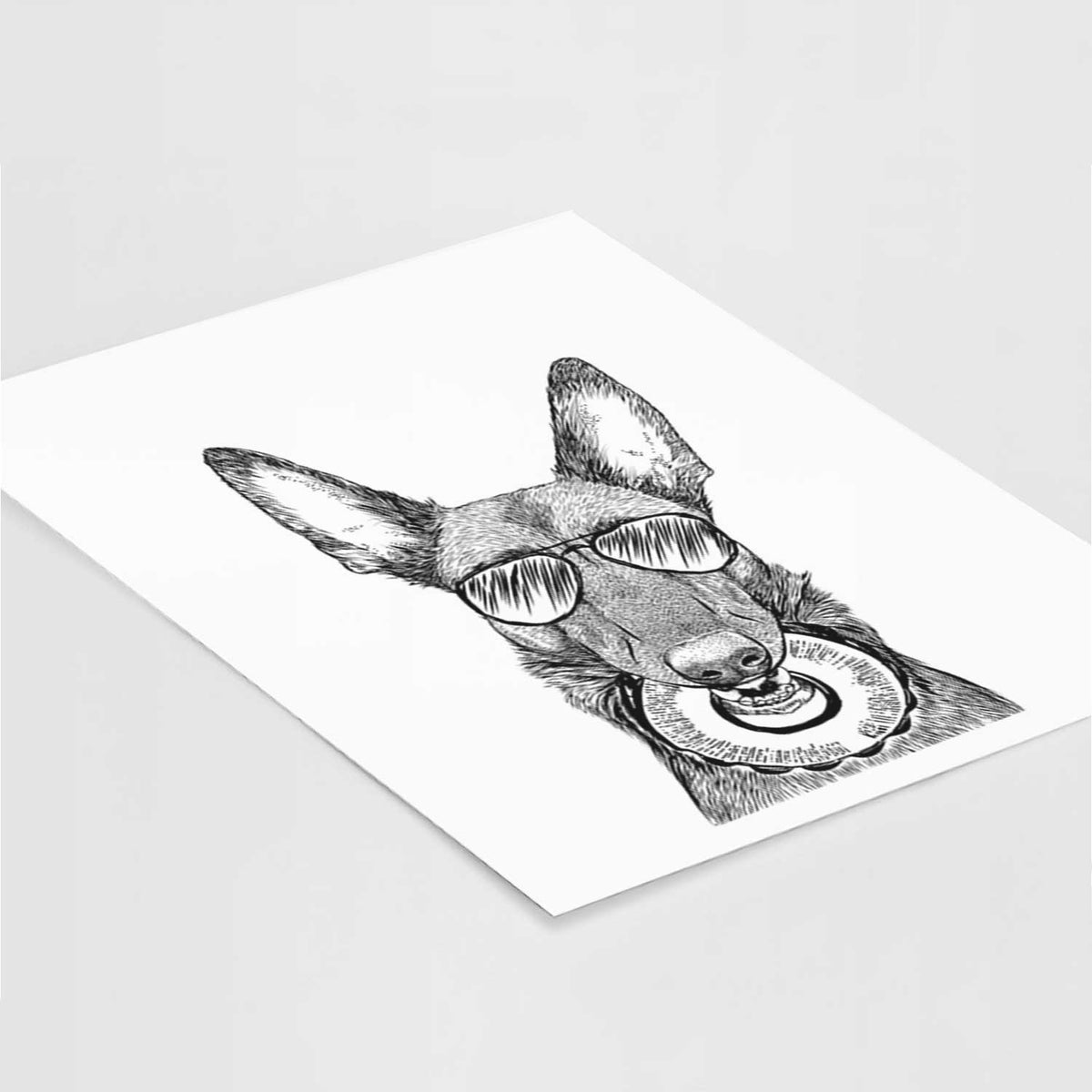 Juno the Belgian Malinois Art Print