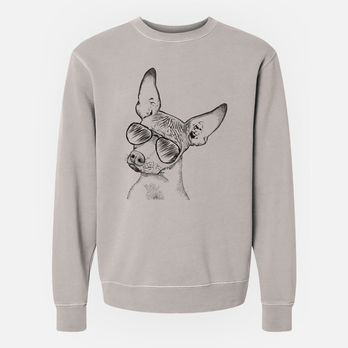 Aviator Kahlo the Xoloitzcuintli - Unisex Pigment Dyed Crew Sweatshirt