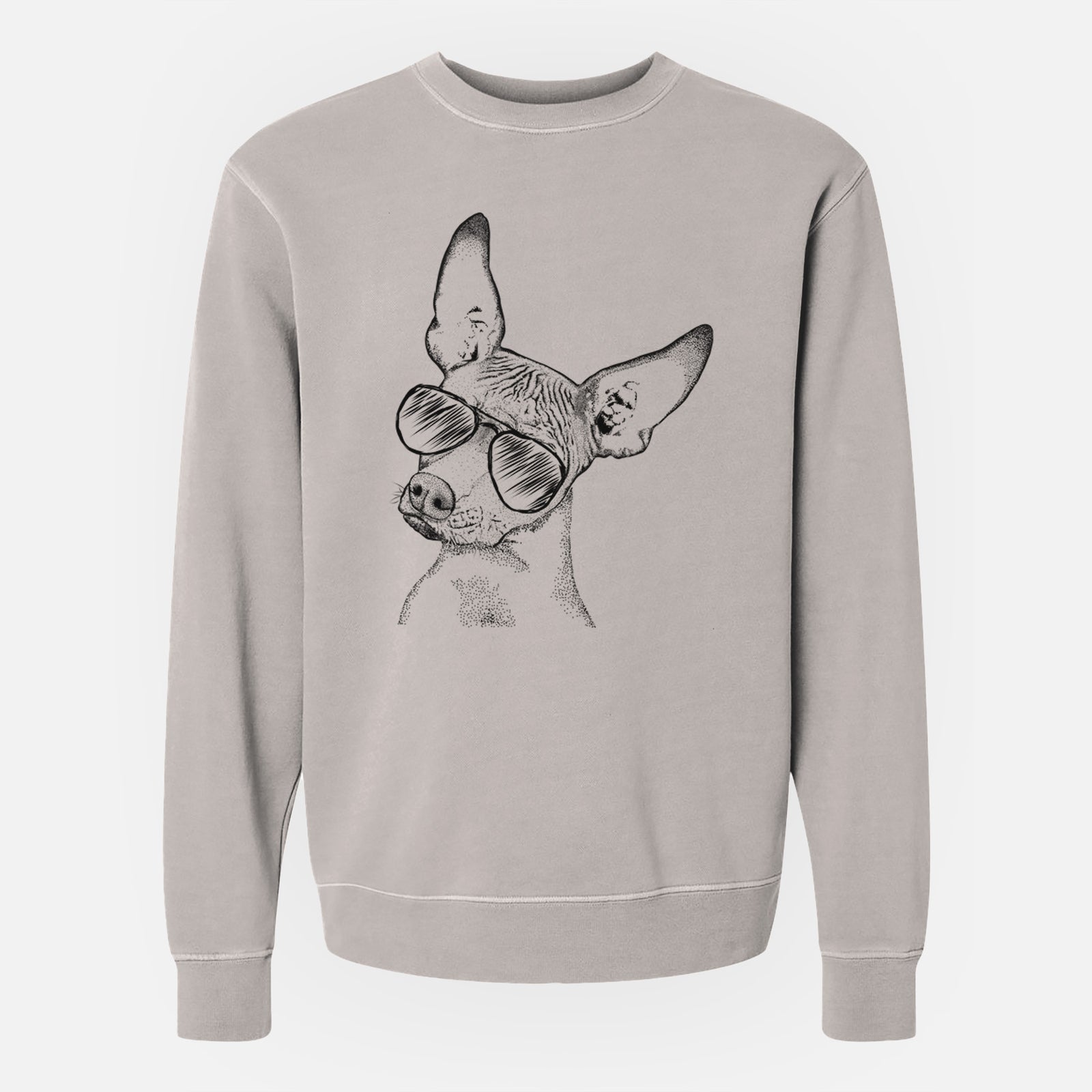 Aviator Kahlo the Xoloitzcuintli - Unisex Pigment Dyed Crew Sweatshirt