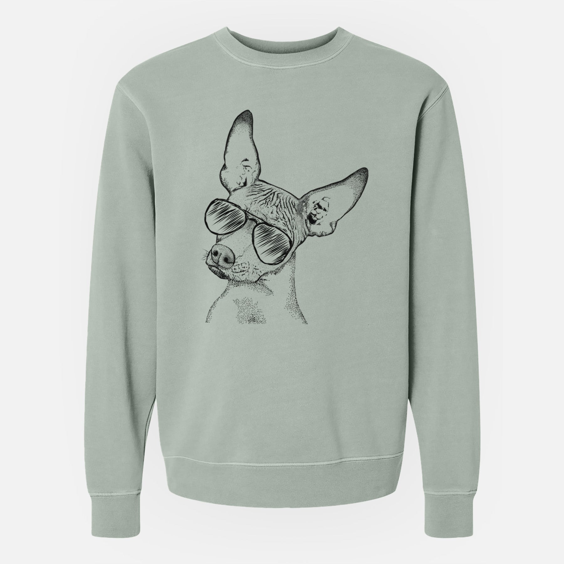 Aviator Kahlo the Xoloitzcuintli - Unisex Pigment Dyed Crew Sweatshirt