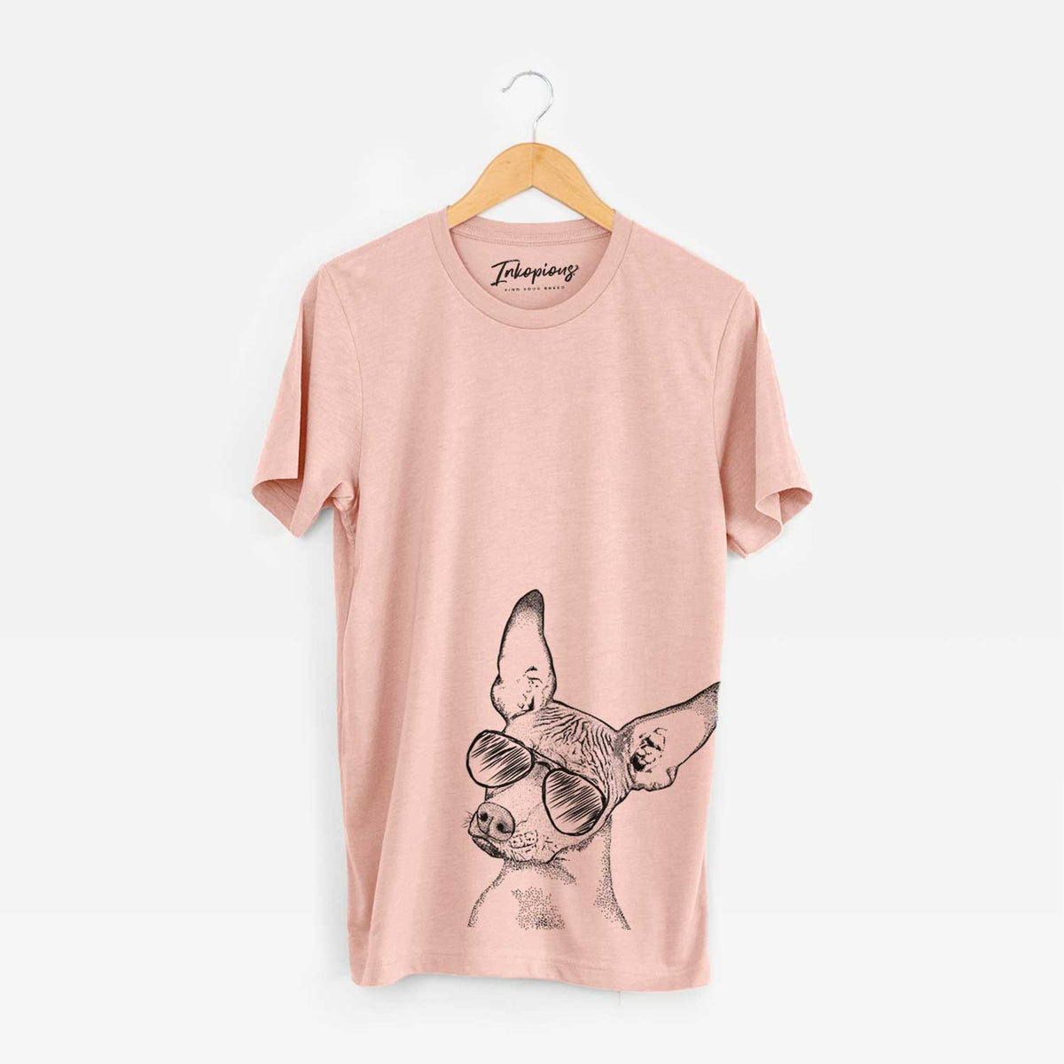 Kahlo the Xoloitzcuintli - Bella Canvas Unisex Crewneck