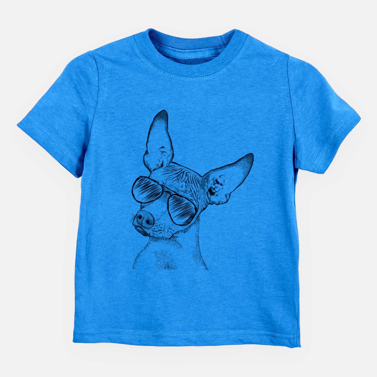 Aviator Kahlo the Xoloitzcuintli - Kids/Youth/Toddler Shirt
