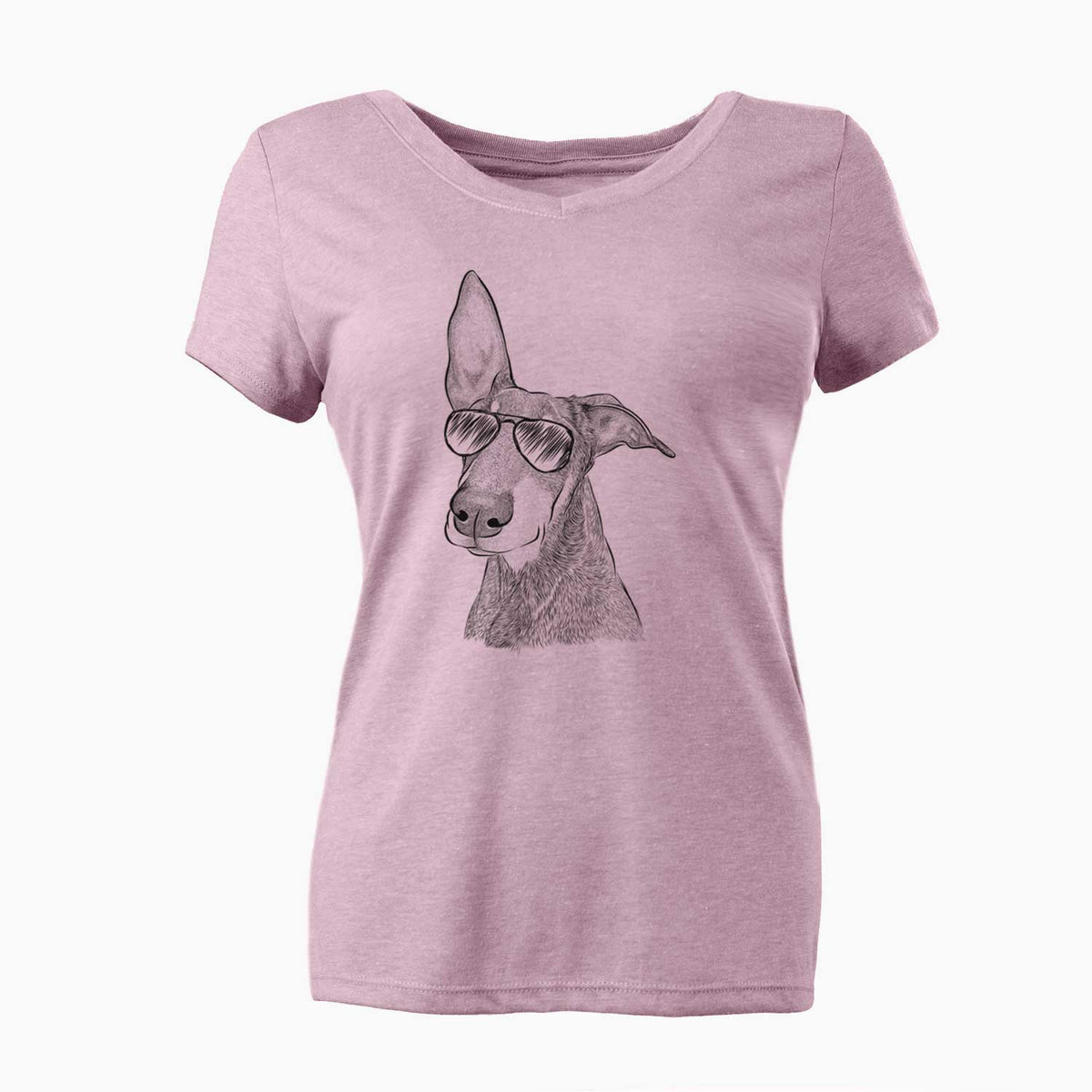 Aviator Kain the Doberman Pinscher - Women's V-neck Shirt