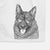 Kasia the Norwegian Elkhound Decorative Hand Towel