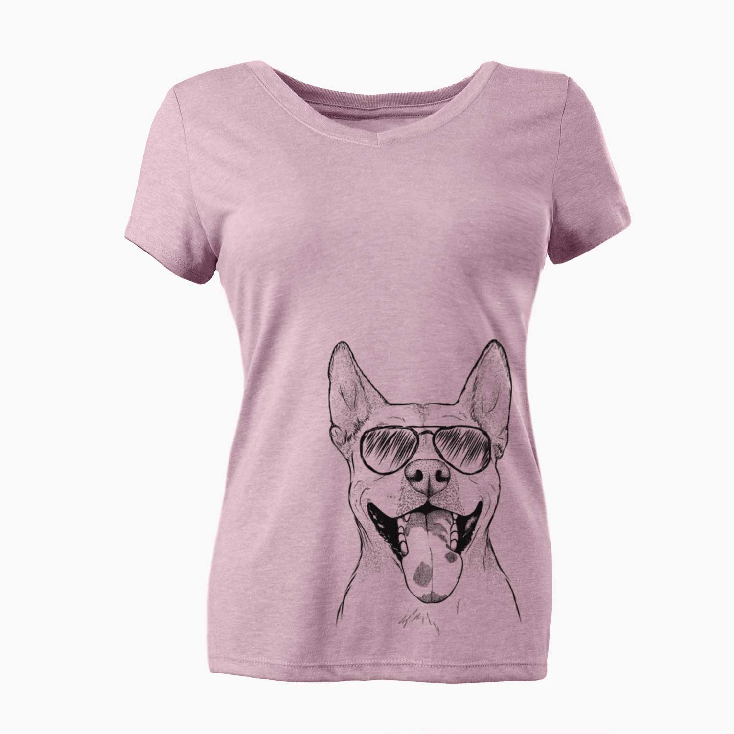 Aviator Khaleesi the Carolina Dog - Women's V-neck Shirt