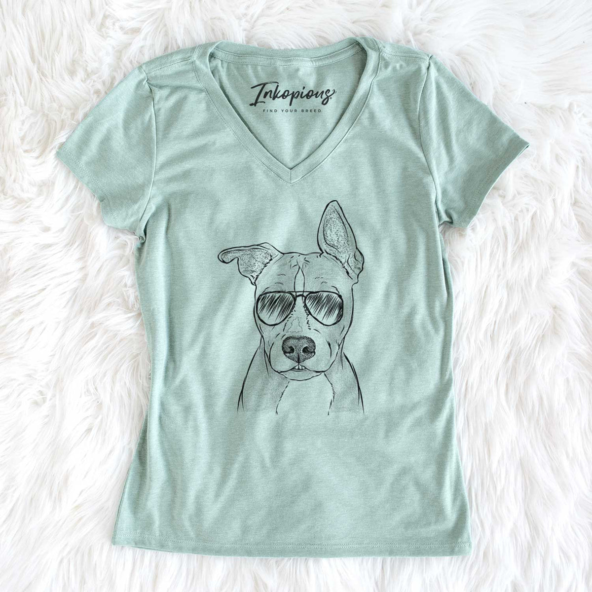 Aviator Kisses the Pitbull - Women's V-neck Shirt
