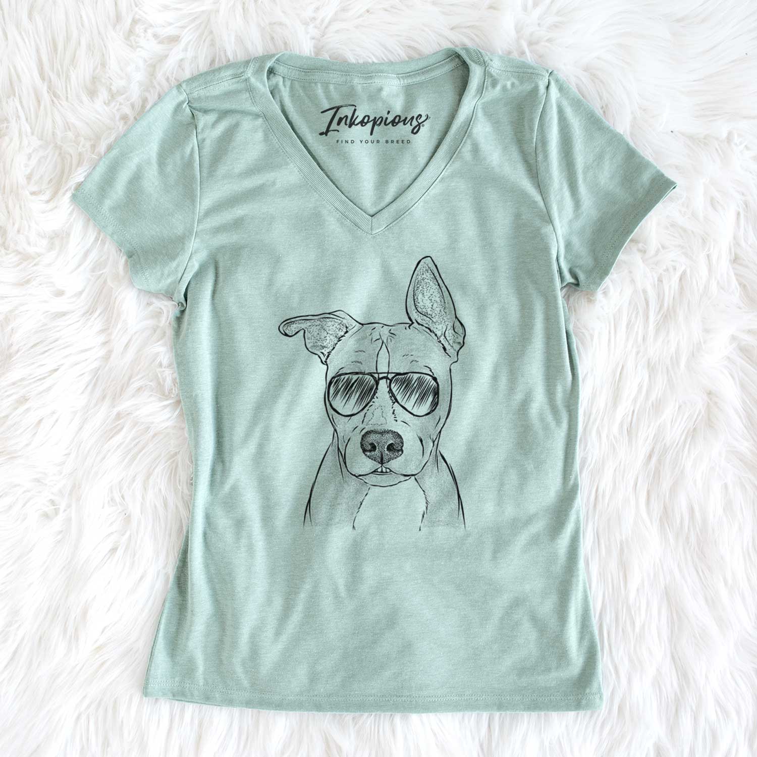 Aviator Kisses the Pitbull - Women's V-neck Shirt
