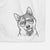 Koby the Shiba Inu Decorative Hand Towel