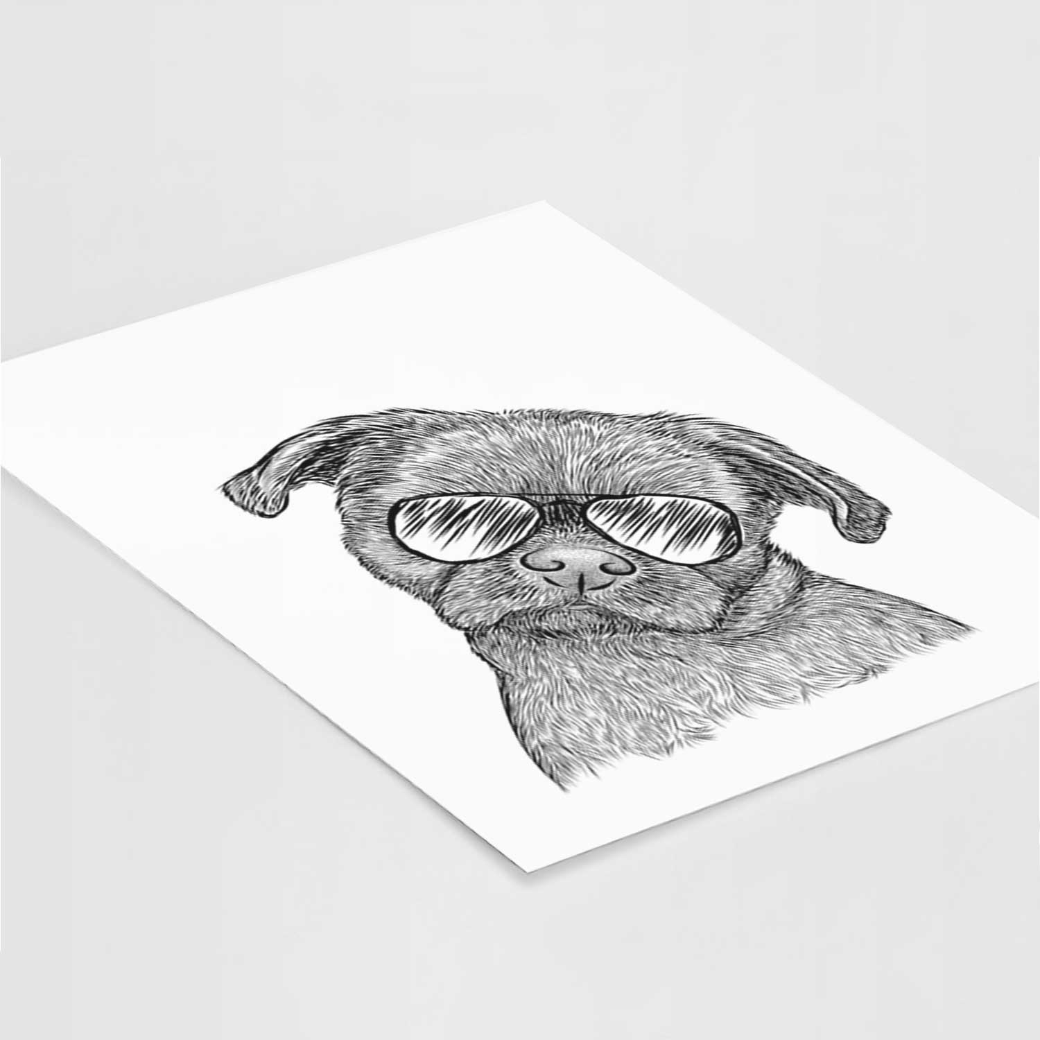 Koko the Shih Tzu Art Print