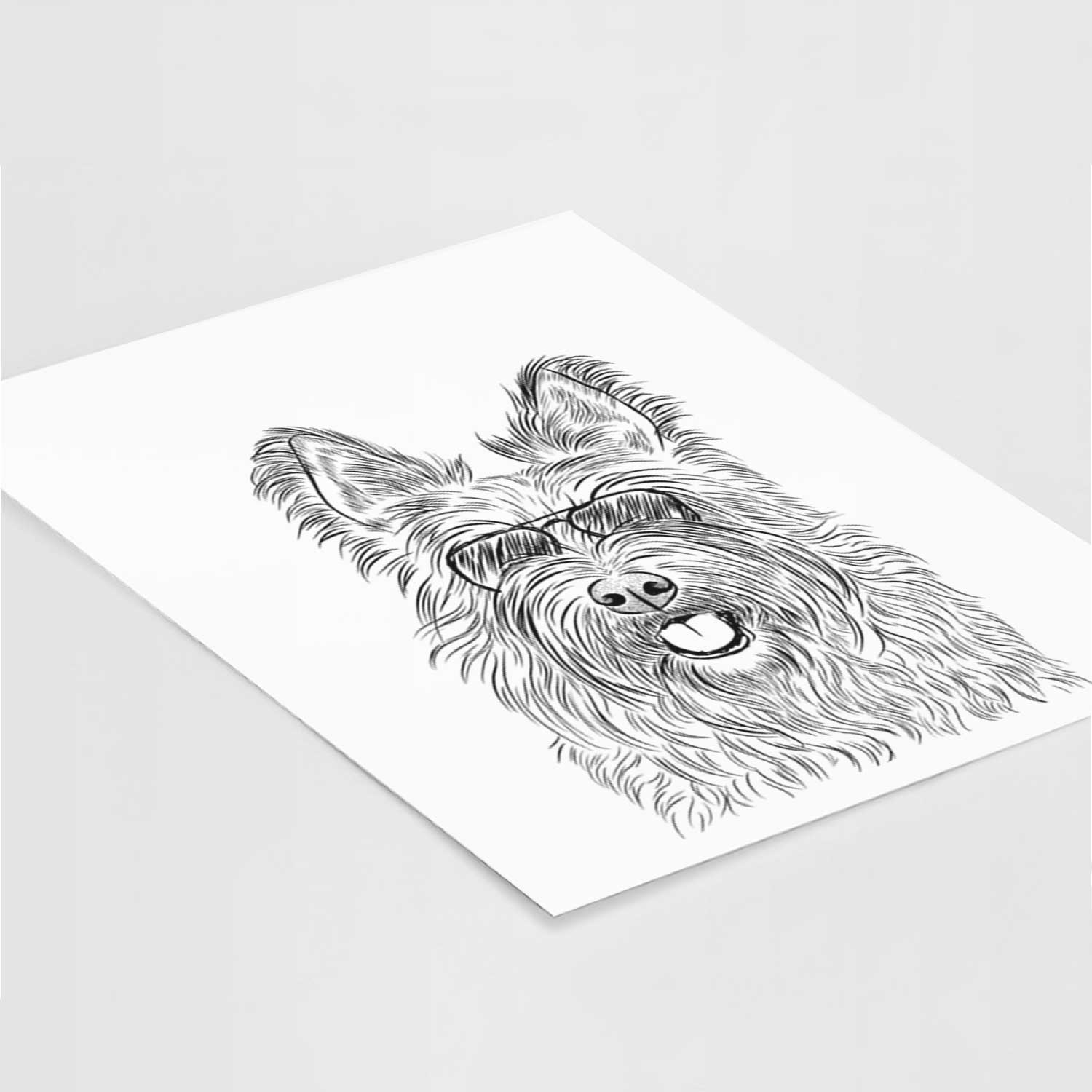 Kyros the Berger Picard Art Print