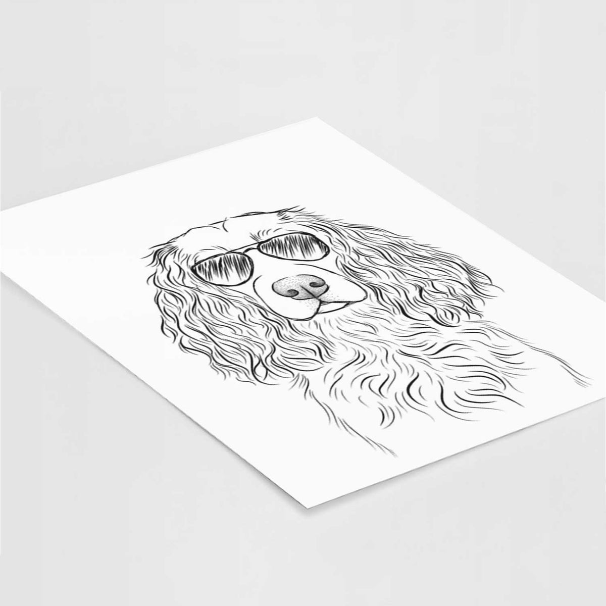 Landry the Boykin Spaniel Art Print