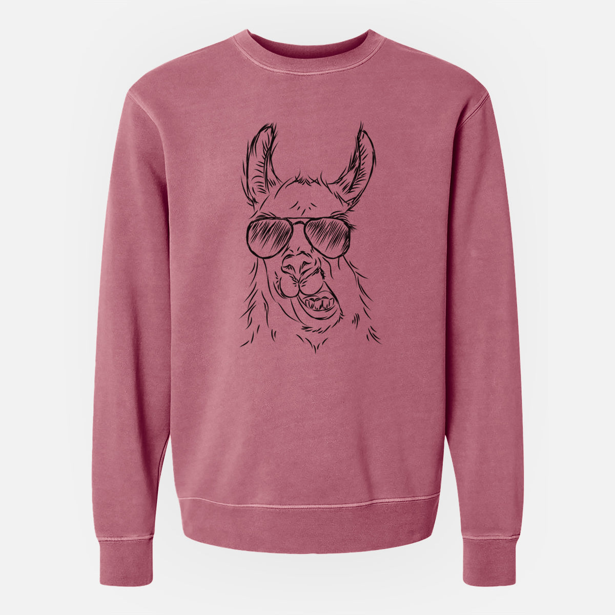 Aviator Larry the Llama - Unisex Pigment Dyed Crew Sweatshirt