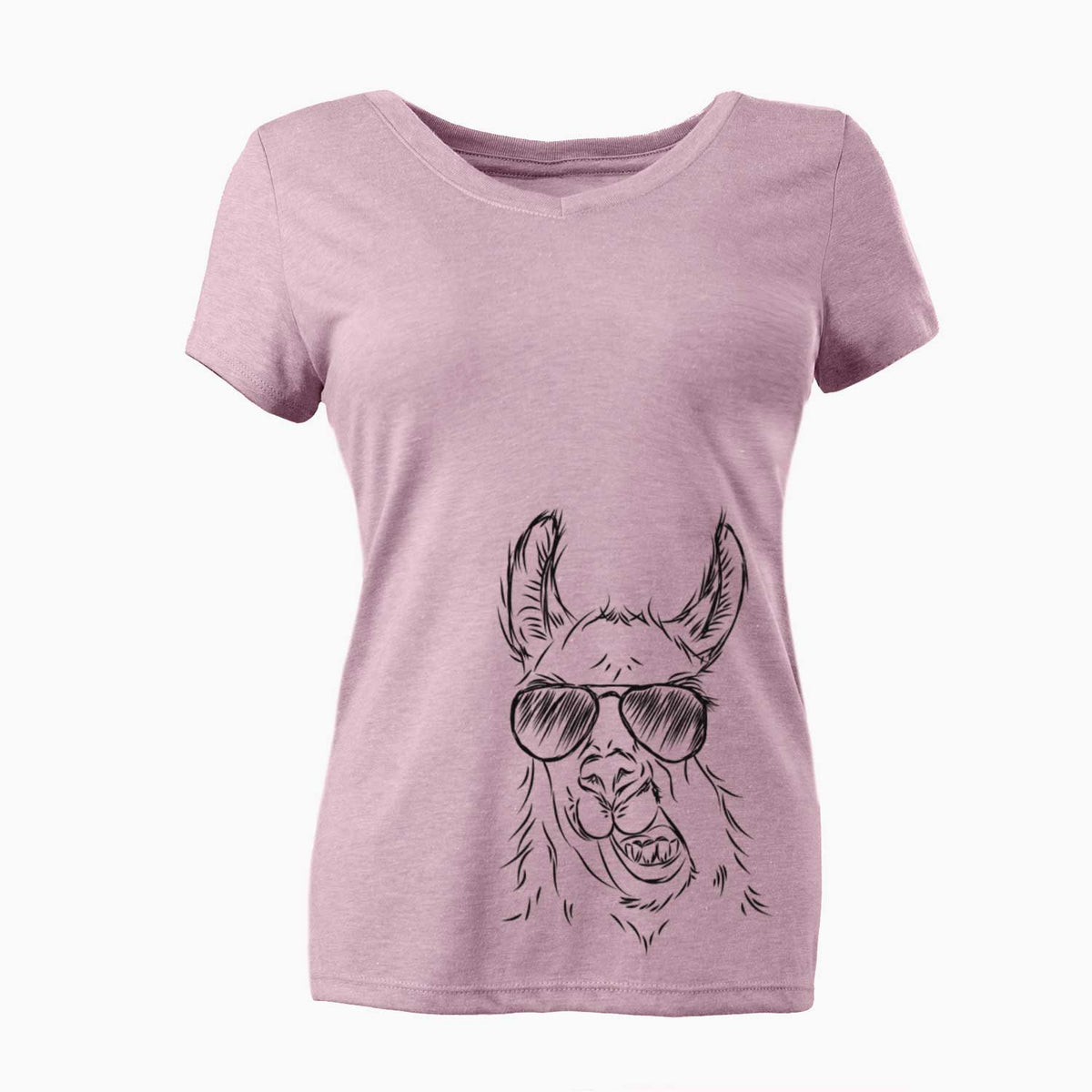 Aviator Larry the Llama - Women's V-neck Shirt