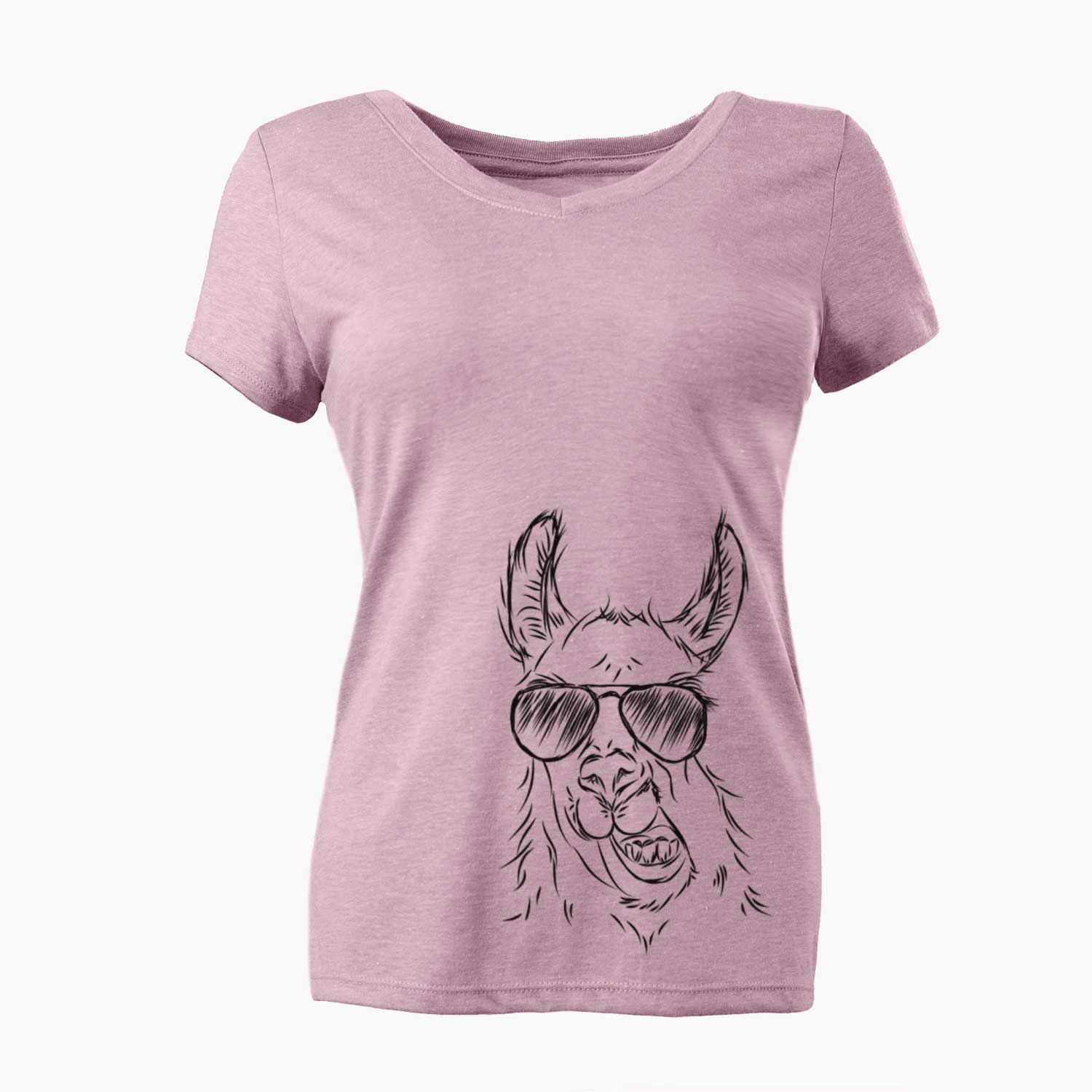 Aviator Larry the Llama - Women's V-neck Shirt