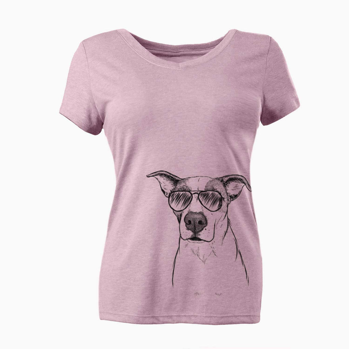 Aviator Lily the Mixed Breed - Women's V-neck Shirt