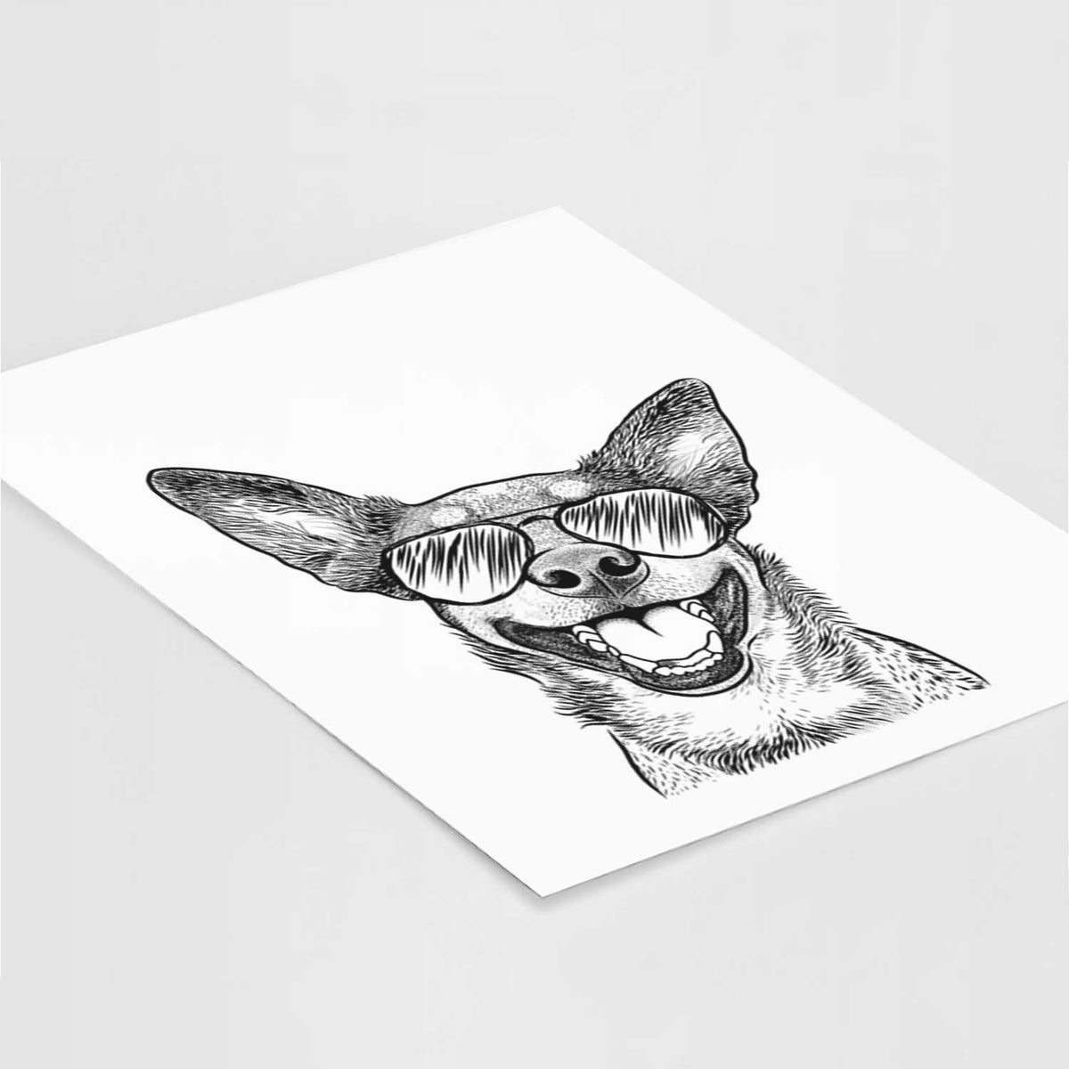 Lily the Australian Cattle Dog Art Print
