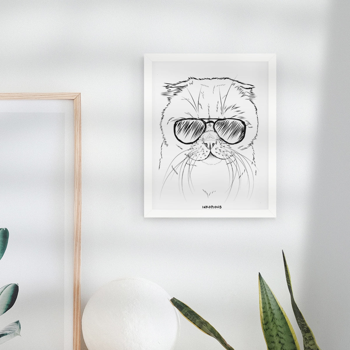 Lina the Exotic Fold Cat Art Print