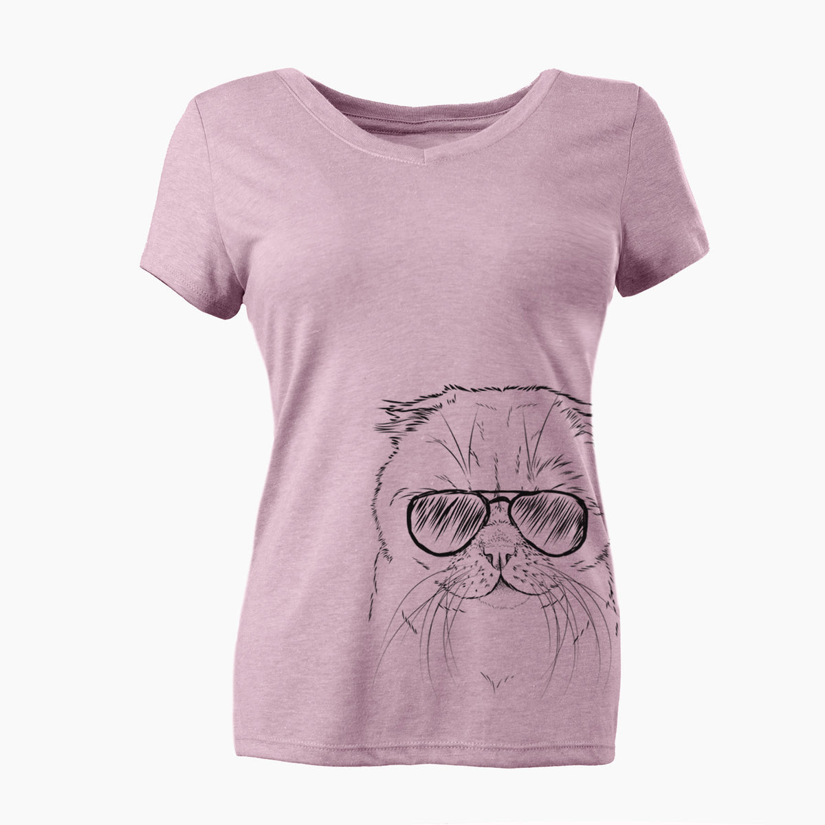 Aviator Lina the Exotic Fold Cat - Women's V-neck Shirt