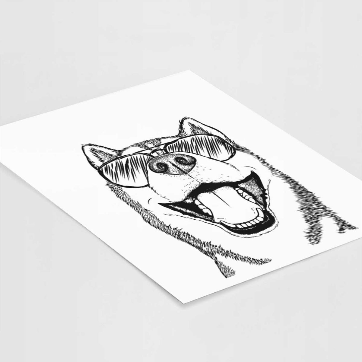 Little Country the Siberian Husky Art Print