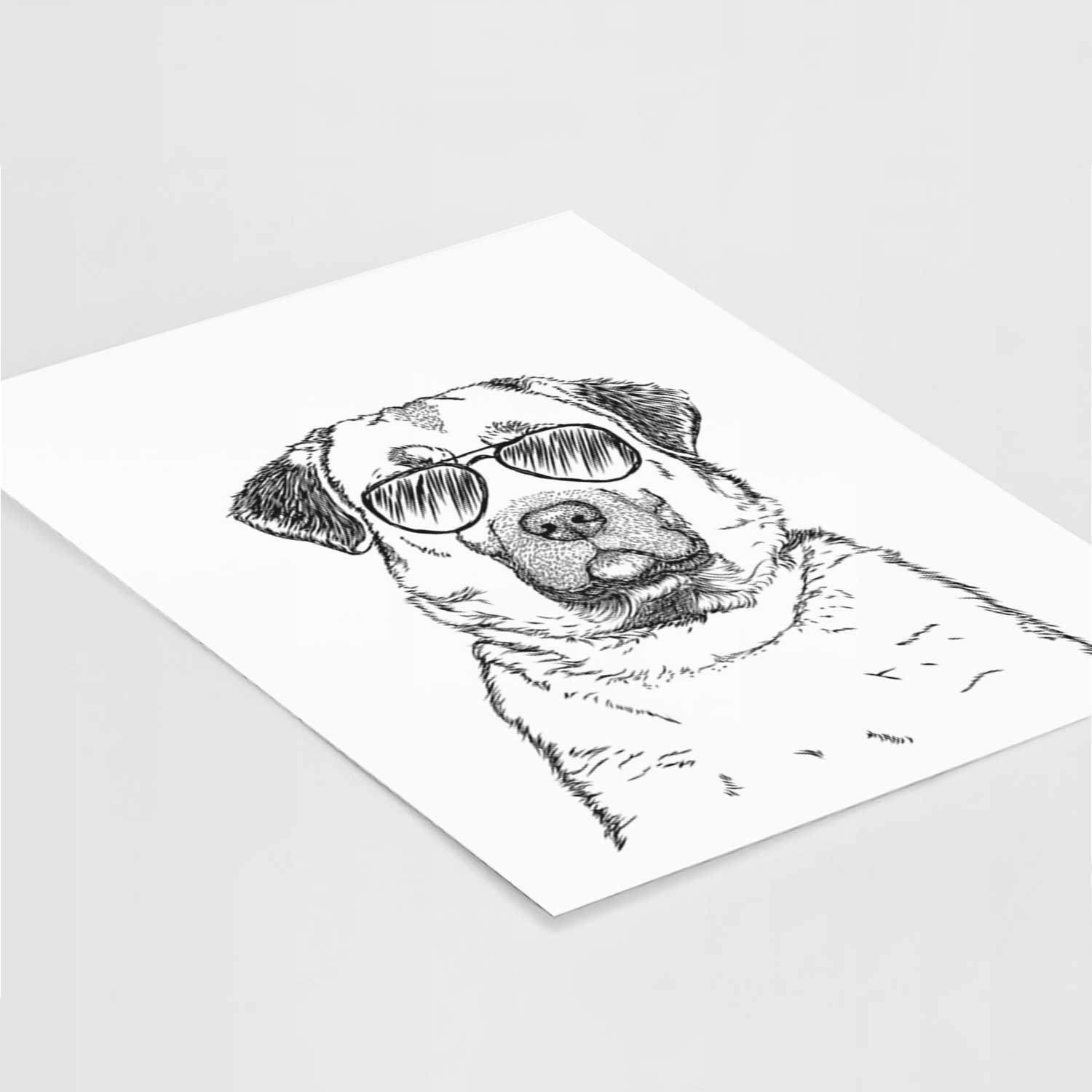 Loca the Anatolian Shepherd Art Print