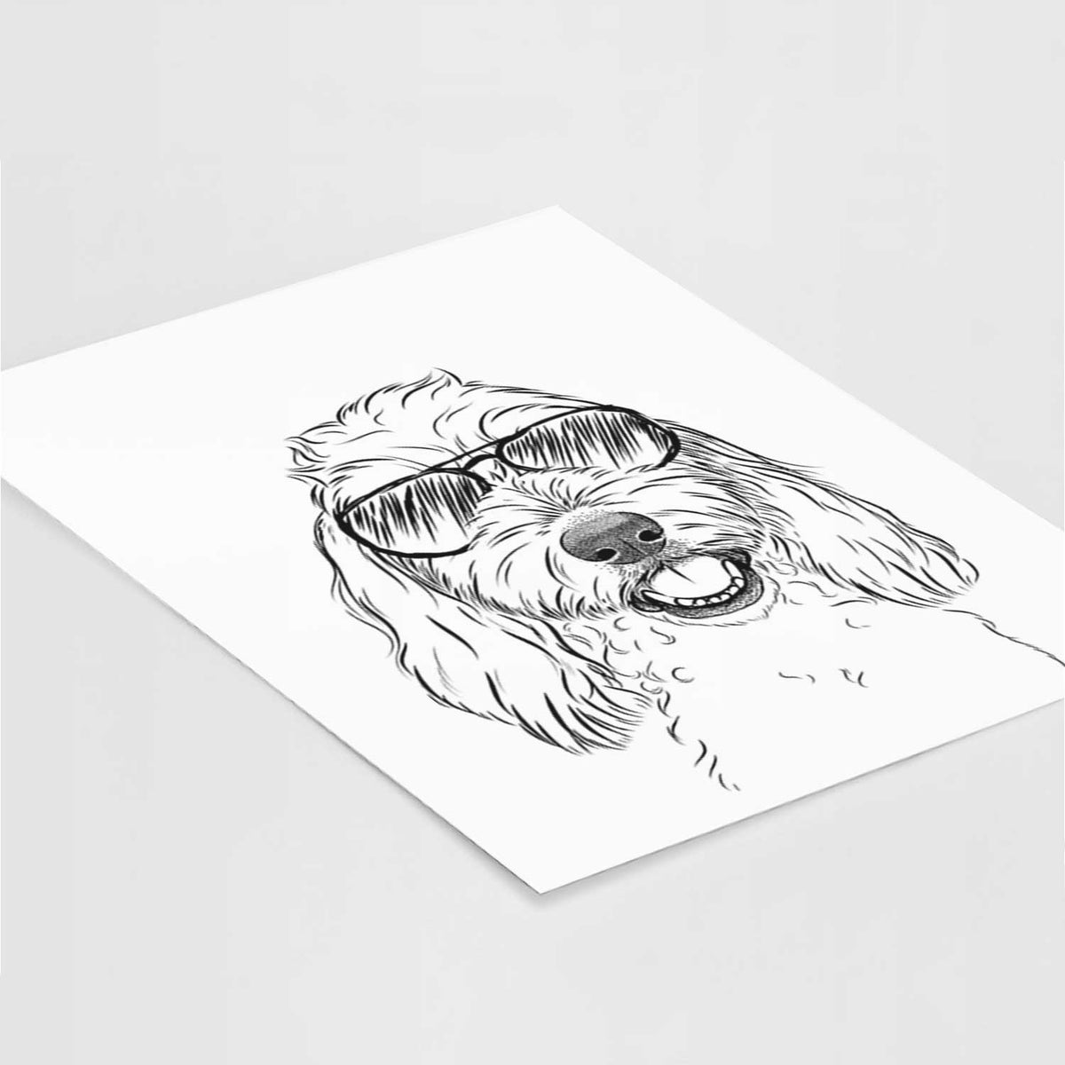 Louie the Coton de Tulear Art Print
