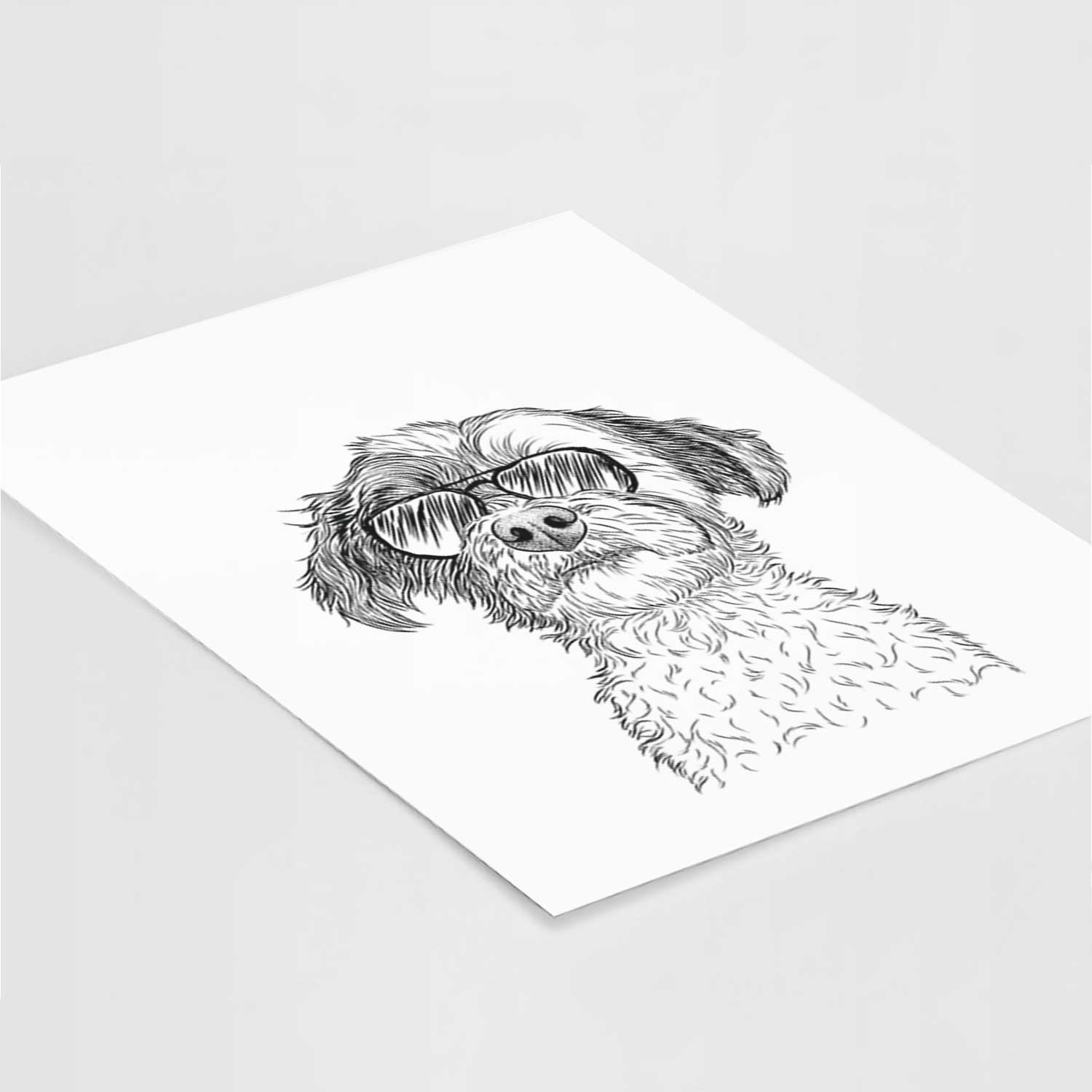 Louise the Havanese Art Print