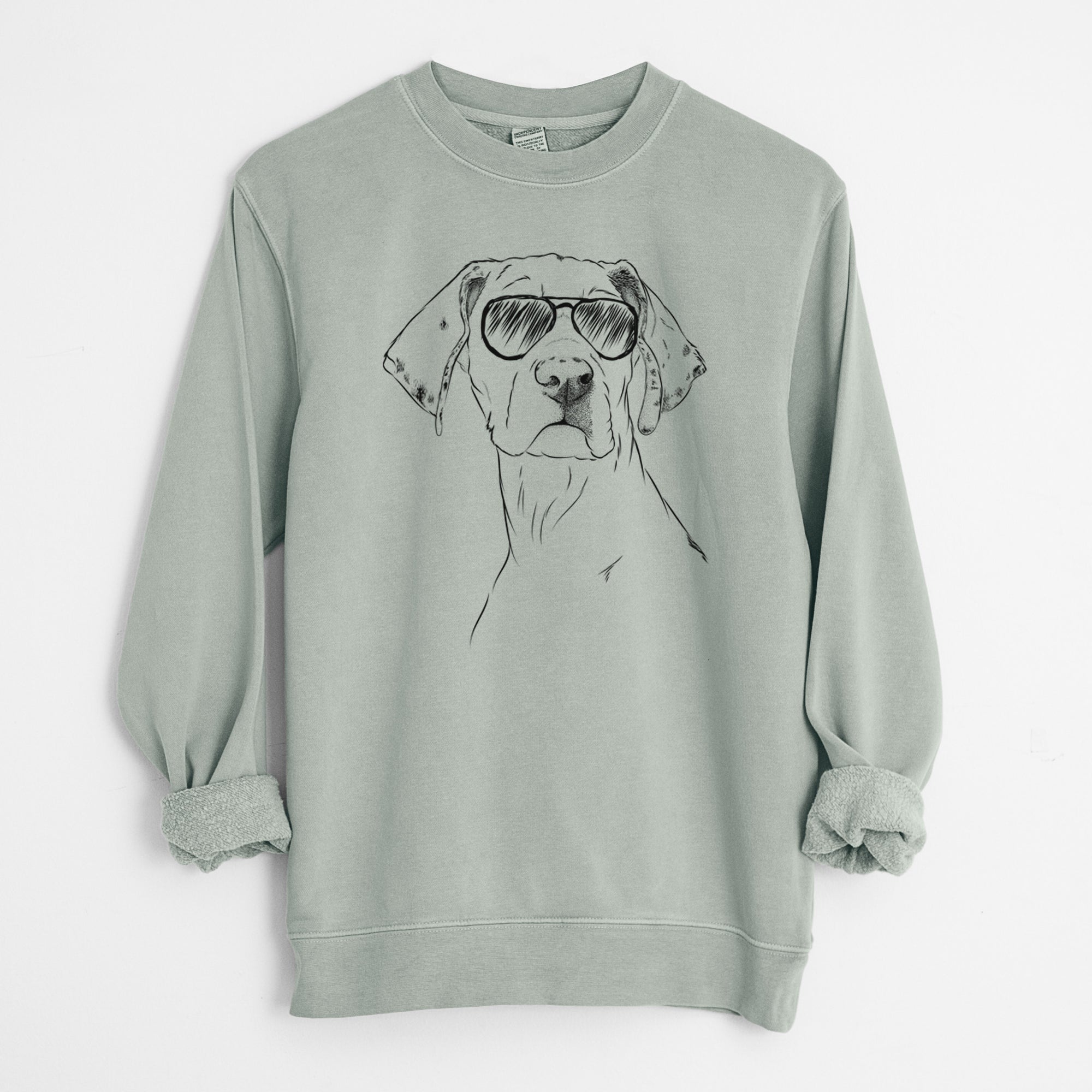 Aviator Lumen the Special Needs Great Dane - Unisex Pigment Dyed Crew Sweatshirt