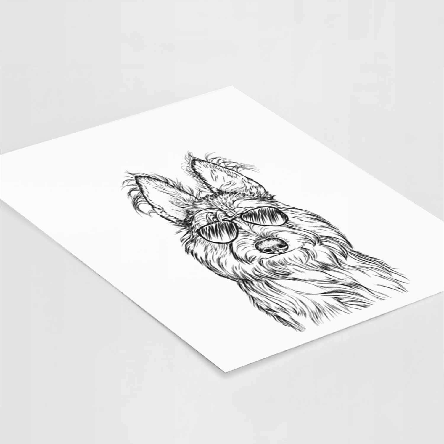 Luna the Berger Picard Art Print