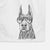 Luna the Doberman Pinscher Decorative Hand Towel