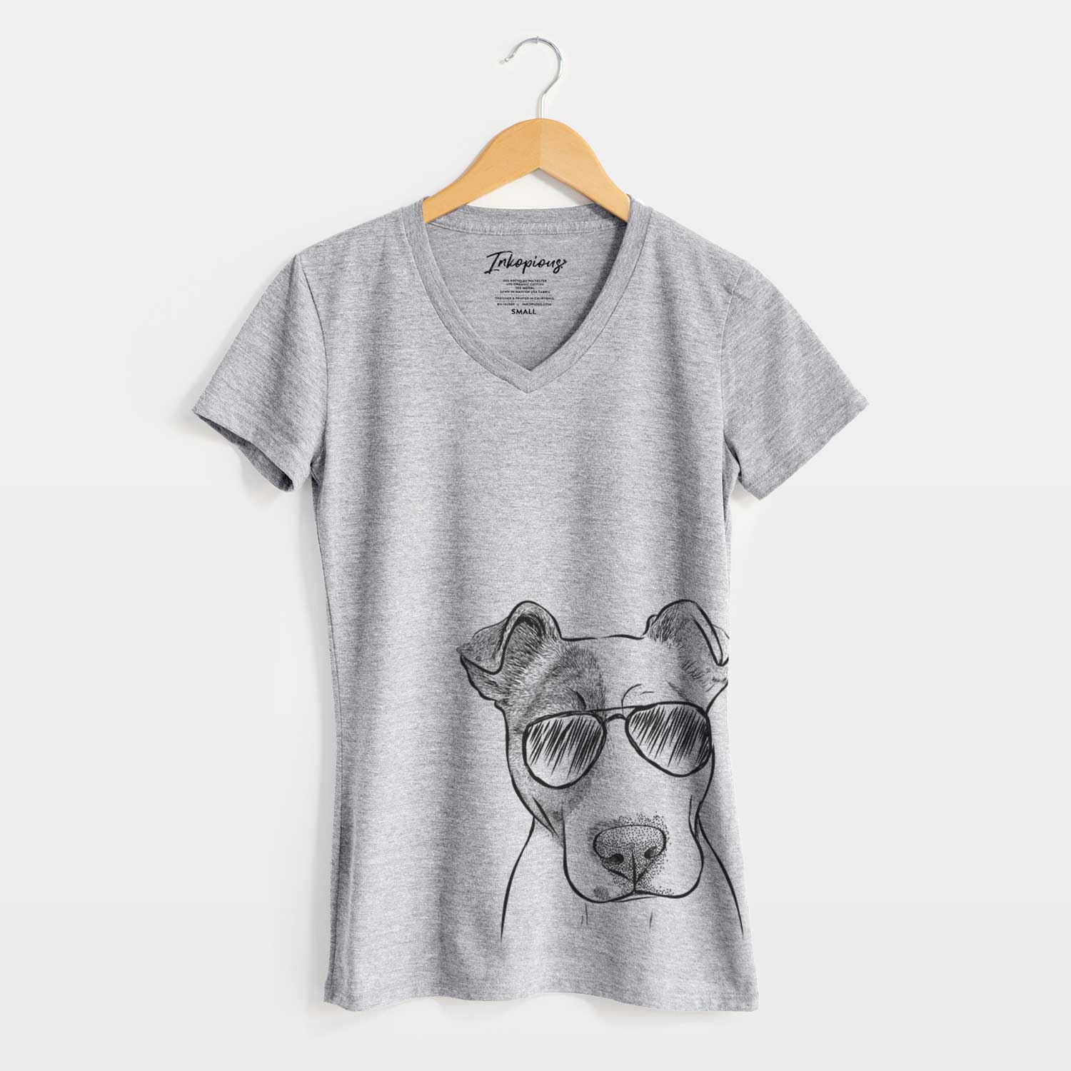 Aviator Manchi the Pitbull Mix - Women's V-neck Shirt