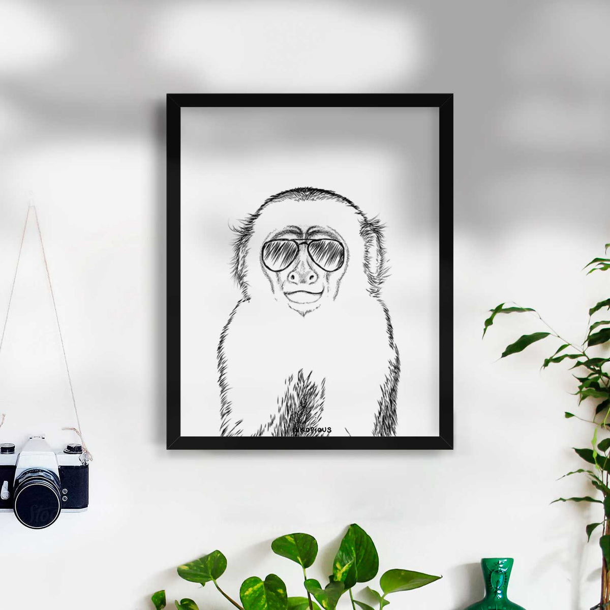 Marcel the Capuchin Monkey Art Print