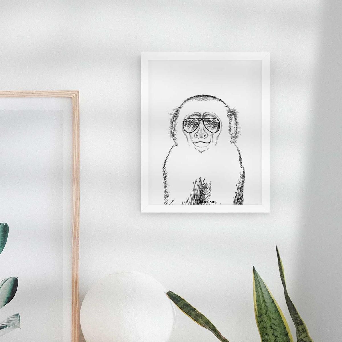 Marcel the Capuchin Monkey Art Print