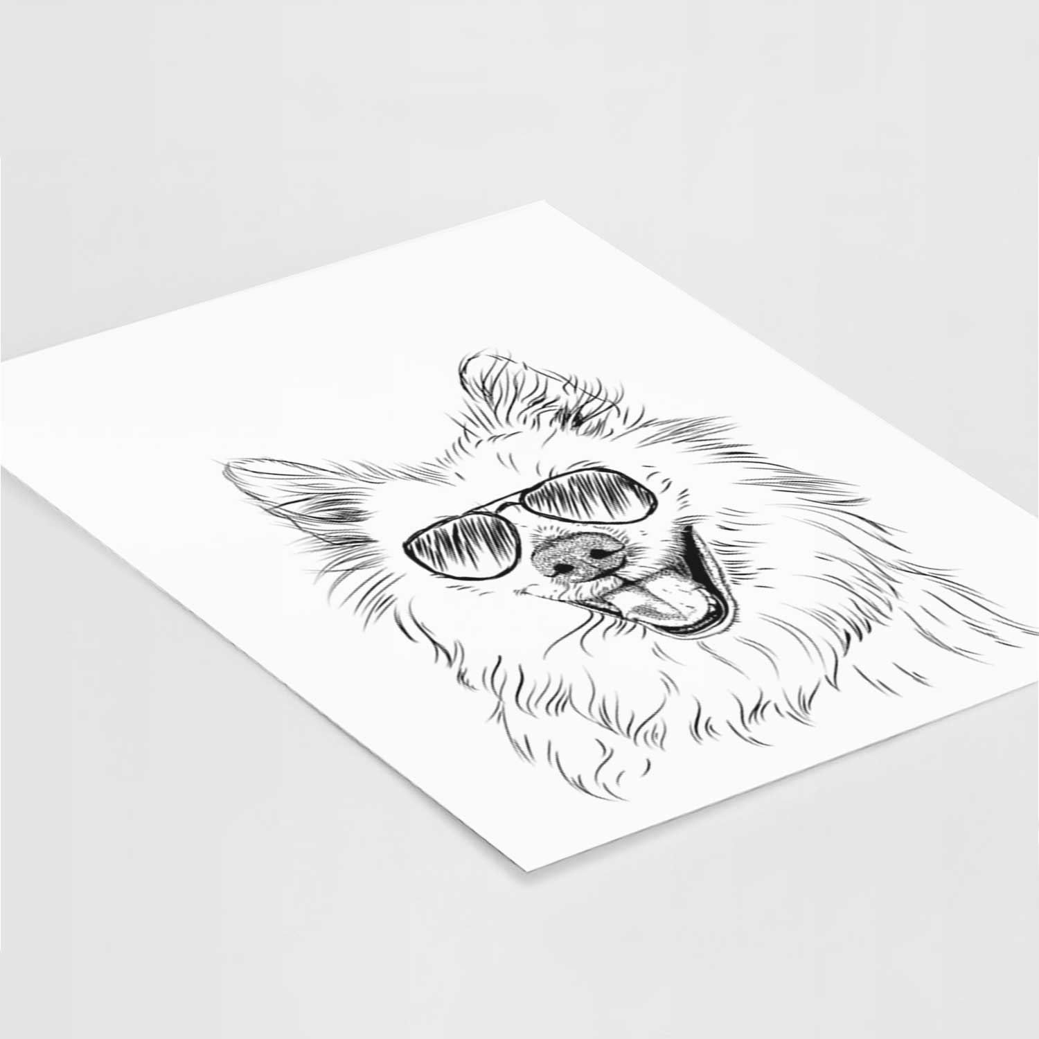 Miki the American Eskimo Art Print