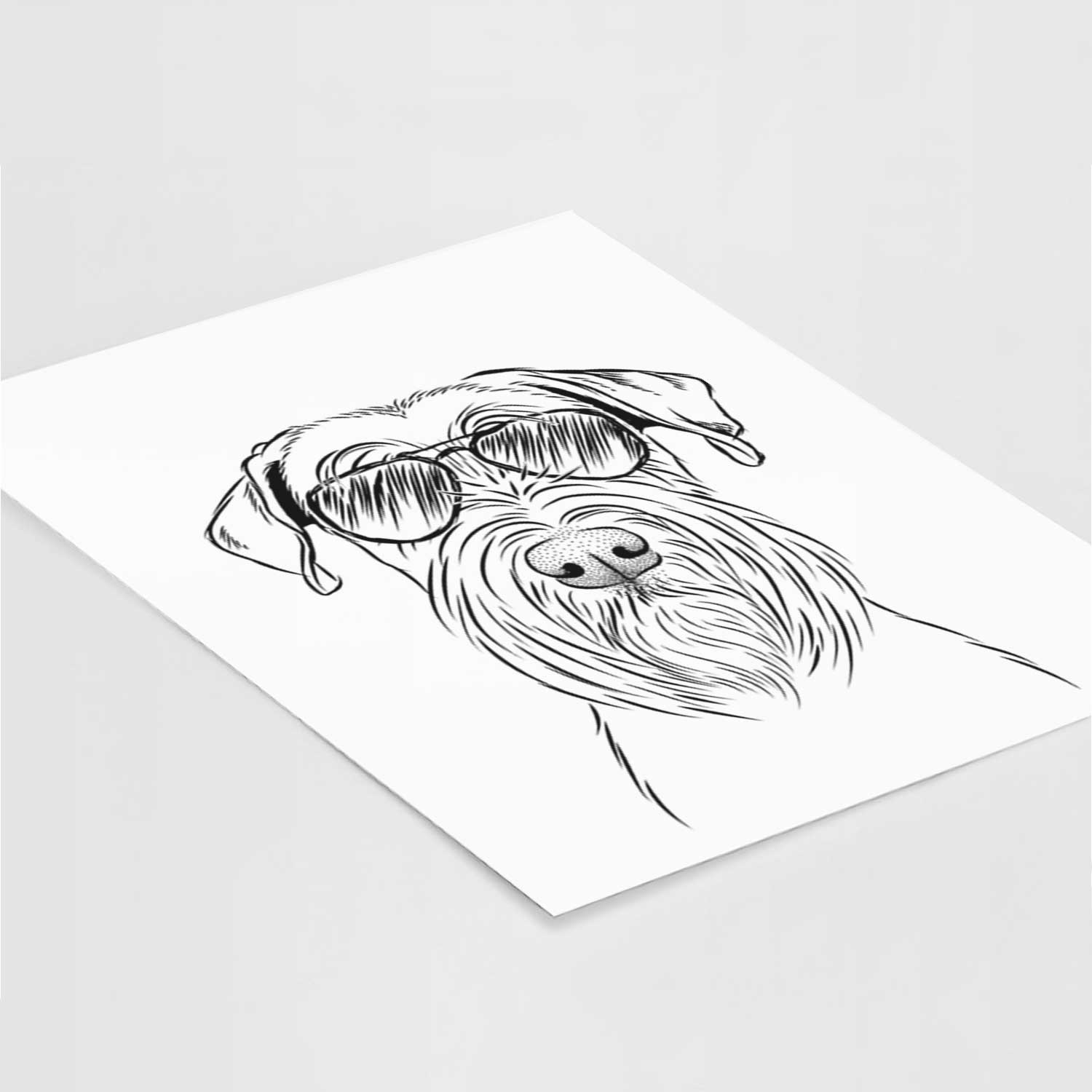 Milton the Standard Schnauzer Art Print