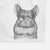 Mojo the Chinchilla Decorative Hand Towel